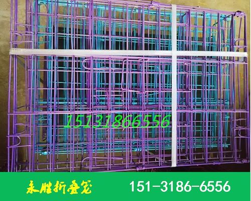信鴿專用折疊觀察籠 河北永勝絲網(wǎng)制品廠的匠心之作